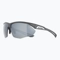 Occhiali da sole Alpina Nylos HR grigio notte opaco/argento a specchio 8