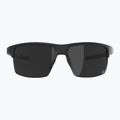 Occhiali da sole Alpina Eagle Q-Lite black matte/silver mirror 2