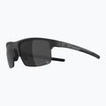 Occhiali da sole Alpina Eagle Q-Lite black matte/silver mirror 4