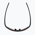 Occhiali da sole Alpina Eagle Q-Lite black matte/red mirror 4