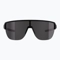 Occhiali da sole Alpina Frame 2.0 Q-Lite black matt / silver mirror 2