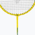 Set da badminton della famiglia Talbot-Torro 5