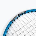 Set da badminton della famiglia Talbot-Torro 6