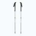 Bastoncini da trekking LEKI Makalu FX TA silver/greygreen/white