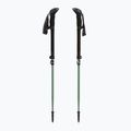 Bastoncini da trekking LEKI Makalu FX TA silver/greygreen/white 5