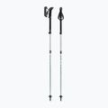 Bastoncini da trekking LEKI Makalu FX TA silver/greygreen/white