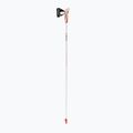Bastoncini da nordic walking LEKI Passion argento 6492525100