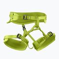 Imbracatura da arrampicata per bambini EDELRID Finn III oasis