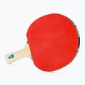 Tibhar Hobby Tennis Tavolo Set 2 4