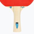 Tibhar Hobby Tennis Tavolo Set 2 5