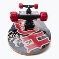 Skateboard classico Playlife Hotrod 5