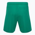 Capelli Sport Cs One Adult Match verde/bianco pantaloncini da calcio per bambini 2