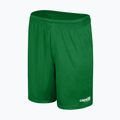 Capelli Sport Cs One Adult Match verde/bianco pantaloncini da calcio per bambini 4