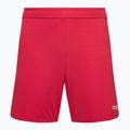 Capelli Sport Cs One Adult Match pantaloncini da calcio da bambino rosso/bianco