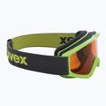 UVEX Occhiali da sci per bambini Speedy Pro verde chiaro/oro