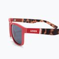 Occhiali da sole UVEX Lgl 39 rose mat havanna/litemirror silver 4