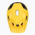Casco da bicicletta UVEX Quatro Integrale sunbee/nero 6