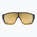 Occhiali da sole UVEX Mtn Style CV havanna matt fade/mirror champagne 2