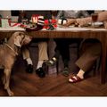 Ciabatte BIRKENSTOCK Arizona Birko-Flor gold 6