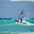 Vela da windsurf NeilPryde Sail Dragonfly HD C1 4