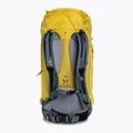 Zaino da paracadutismo Deuter Freescape Lite 26 l mais/teal 2