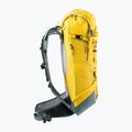 Zaino da paracadutismo Deuter Freescape Lite 26 l mais/teal 12