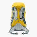 Zaino da paracadutismo Deuter Freescape Lite 26 l mais/teal 14