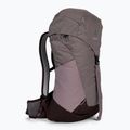 Zaino da escursionismo Deuter AC Lite 22 l uva/aubergine donna 3