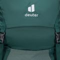 Zaino da trekking da donna deuter Futura 30 l SL forest/jade 5