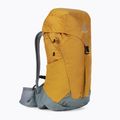 Zaino da trekking Deuter AC Lite 22 l SL da donna cannella/teal 2