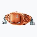 Valigia da bicicletta Deuter Pulse 5 l castagno/teal 6