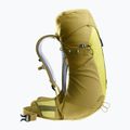 Zaino da trekking da donna deuter AC Lite 22 l SL sprout/linden 3