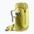Zaino da trekking da donna deuter AC Lite 22 l SL sprout/linden 5