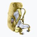 Zaino da trekking da donna deuter AC Lite 22 l SL sprout/linden 9