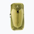 Zaino da trekking deuter AC Lite 24 l linden/cactus