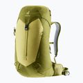 Zaino da trekking deuter AC Lite 24 l linden/cactus 4