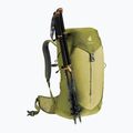 Zaino da trekking deuter AC Lite 24 l linden/cactus 9