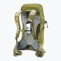 Zaino da trekking deuter AC Lite 24 l linden/cactus 13