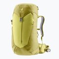 Zaino da trekking da donna deuter AC Lite 28 l SL sprout/linden 2