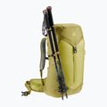Zaino da trekking da donna deuter AC Lite 28 l SL sprout/linden 10