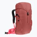 Zaino da trekking per bambini Deuter Climber 22 l sequoia/hibiscus 2