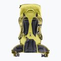 Zaino da escursionismo per bambini Deuter Climber 22 l, germoglio/tiglio 2