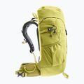 Zaino da escursionismo per bambini Deuter Climber 22 l, germoglio/tiglio 3