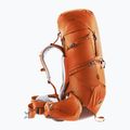 Zaino da trekking da donna deuter Aircontact Core 55+10 l SL castagna/umbra 3