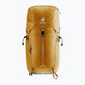 Zaino da escursionismo Deuter Trail 24 l almond/deepsea