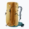 Zaino da escursionismo Deuter Trail 24 l almond/deepsea 2