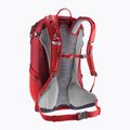 Zaino da trekking Deuter Futura 23 l masala-ciliegia 13