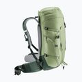 Zaino da trekking Deuter Trail 30 l grove-ivy 3