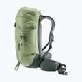 Zaino da trekking Deuter Trail 30 l grove-ivy 4