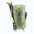 Zaino da trekking Deuter Trail 30 l grove-ivy 5